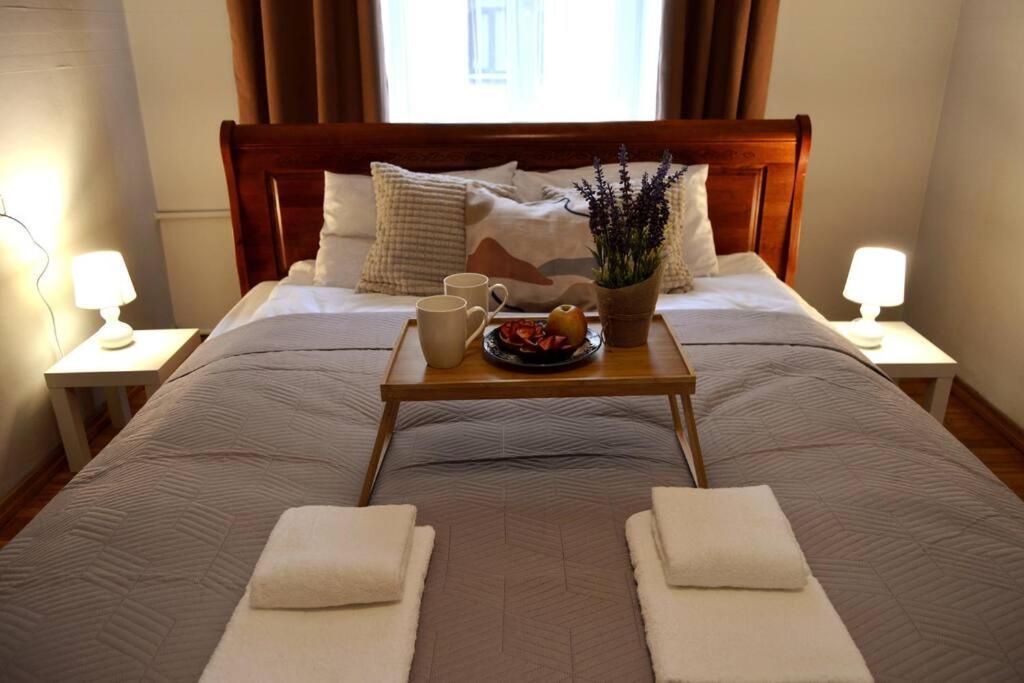 ריגה Unique Spacious Classic 3 Bedroom Midtown Apartment ! Billiard Room ! מראה חיצוני תמונה